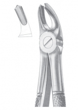 Fig. 39A upper molars for children 